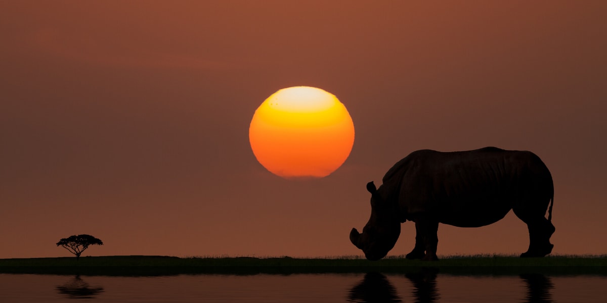 Africa Telegram Group