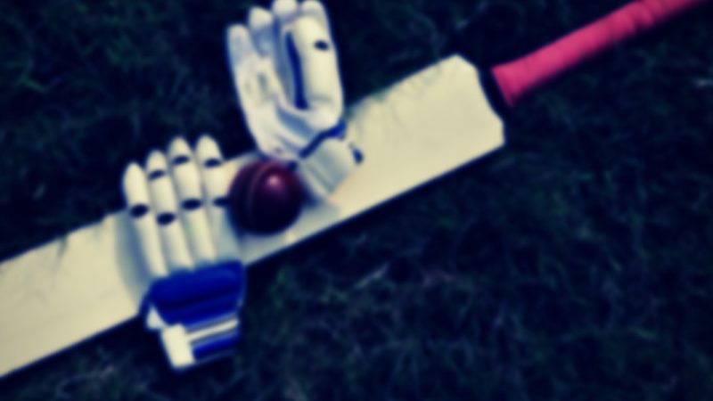 Cricket Telegram Group