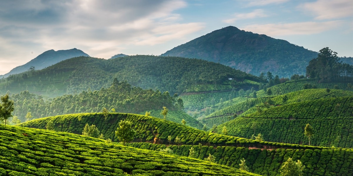 Kerala Telegram Group