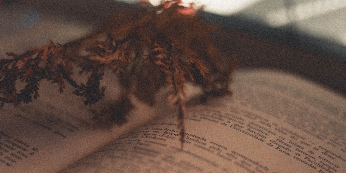 Shayari Telegram Group