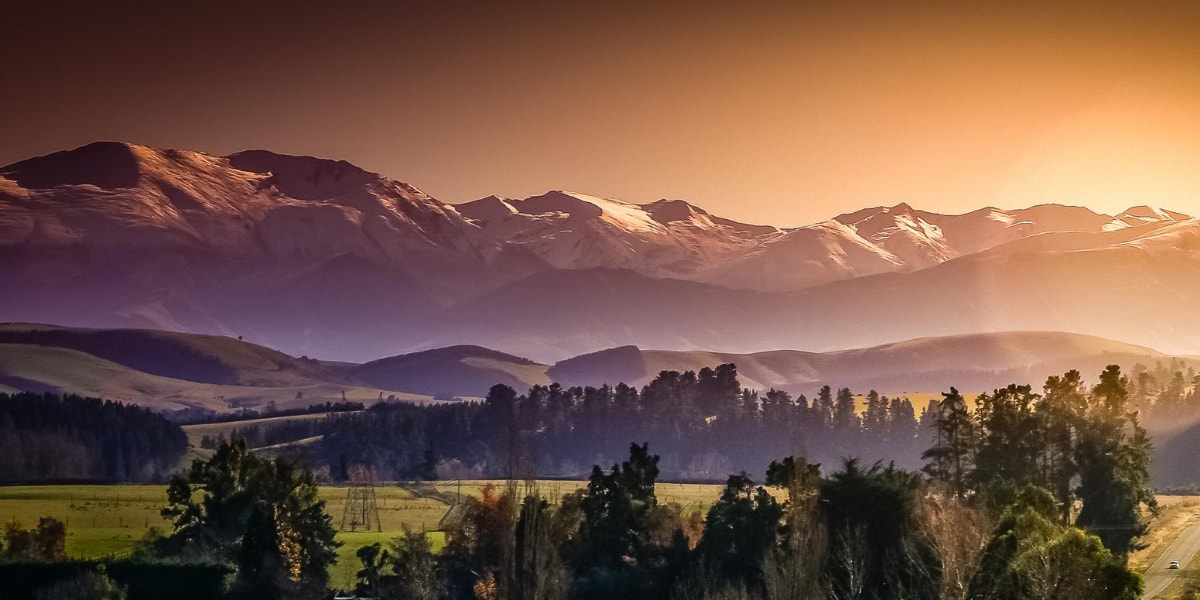 New Zealand Telegram Group