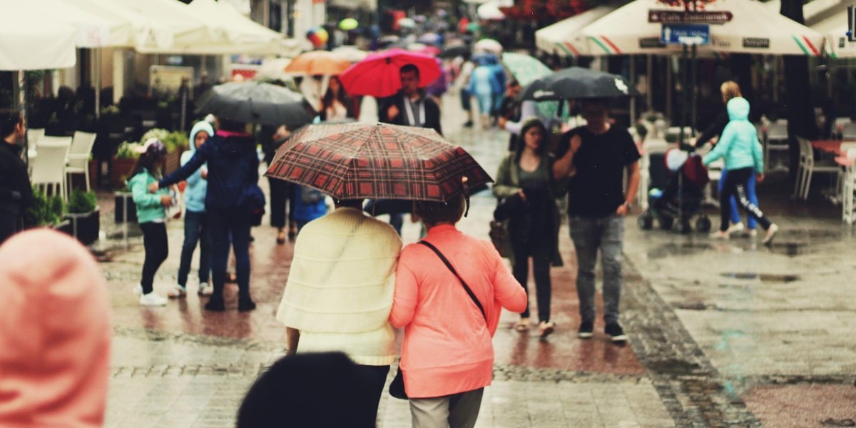 Public Telegram Group