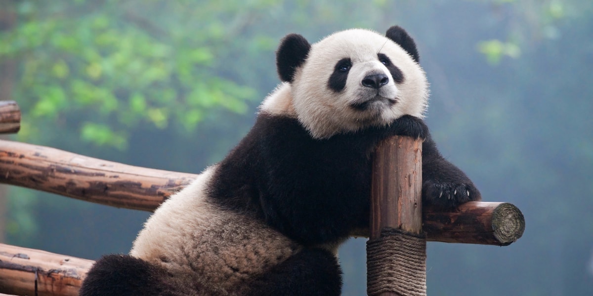 788+ Cute Telegram Stickers Package List for Couples 2023