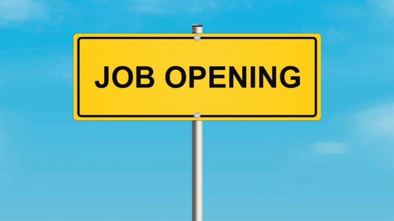 Jobs Openings Telegram Group Links