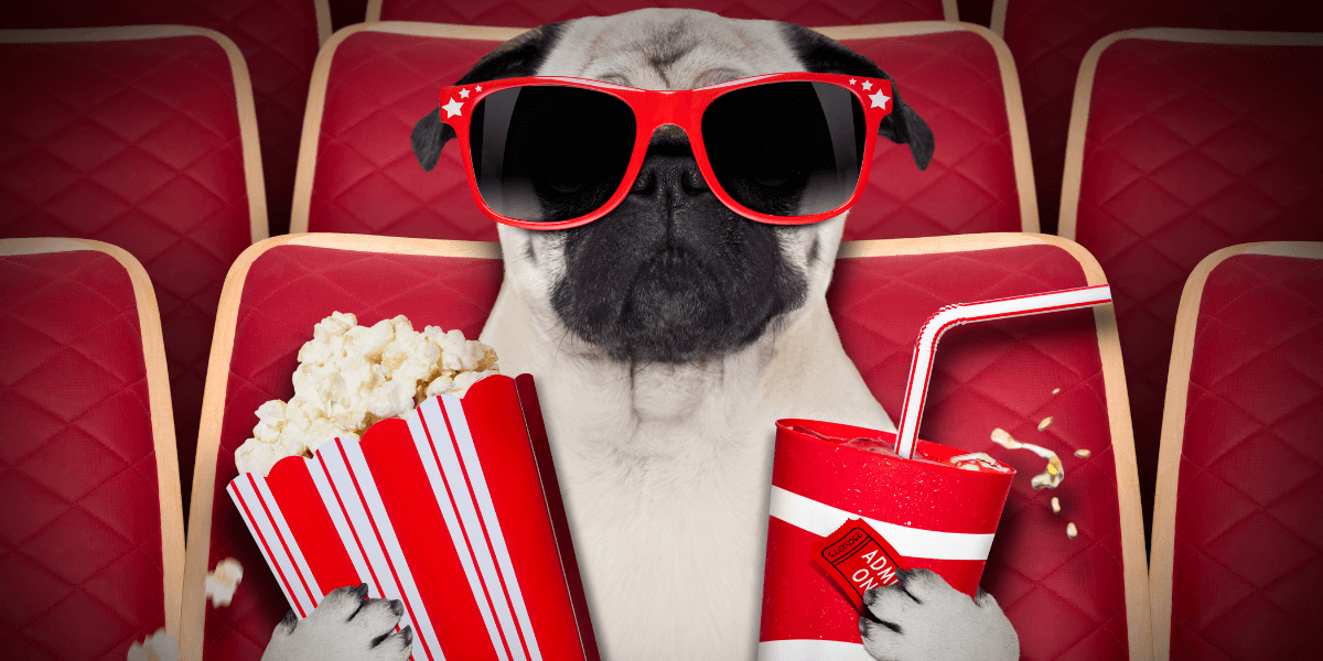 Vodafone Play Telegram Group Links