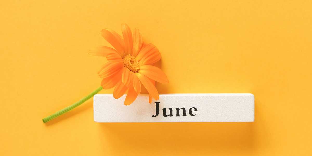 June Telegram Group Links