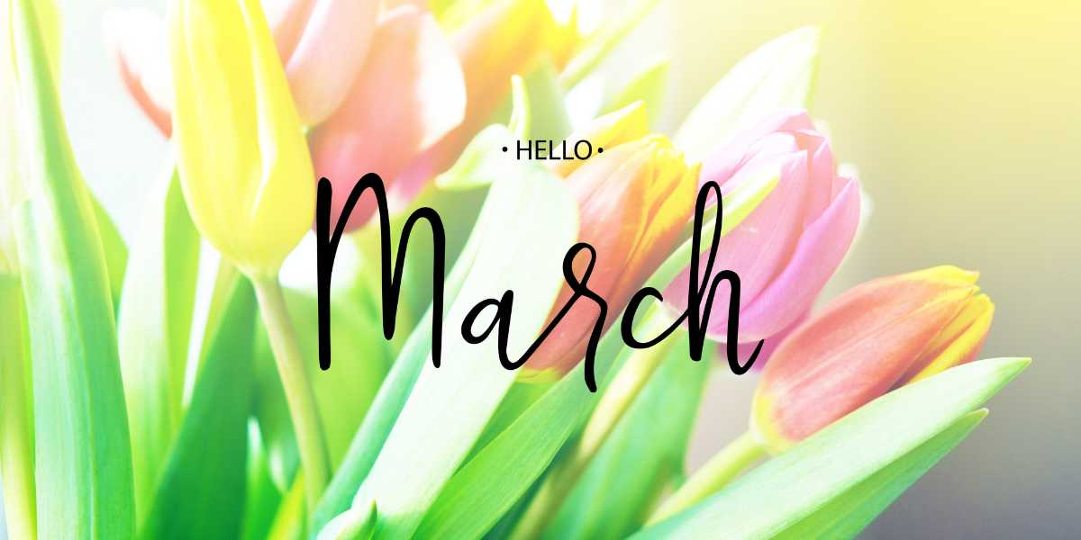 March Telegram Group Links