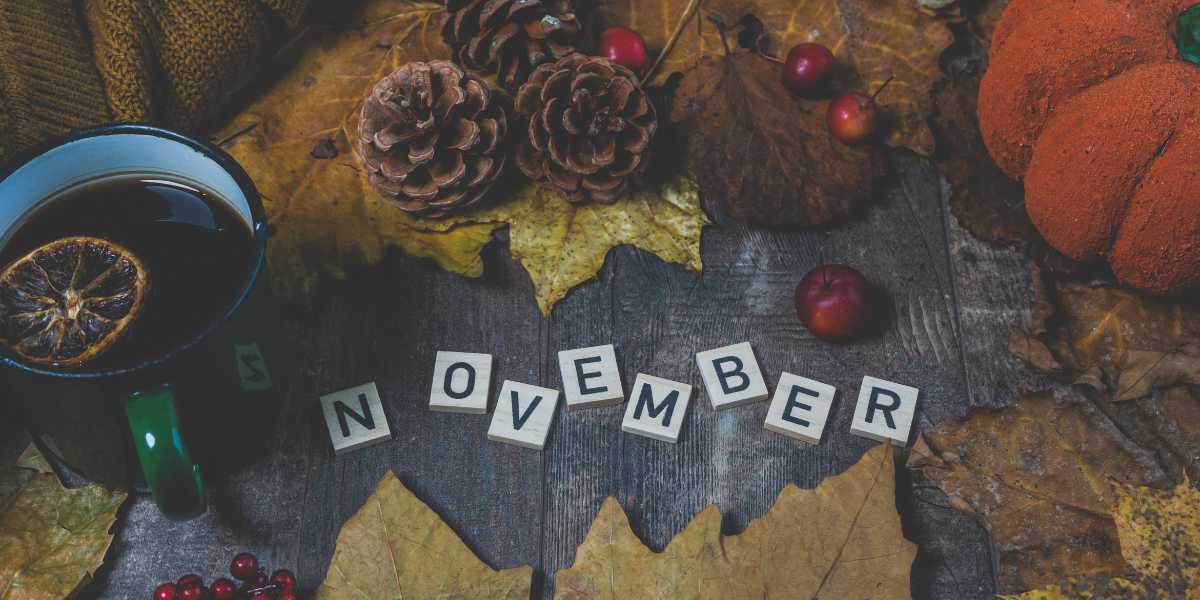 November Telegram Group Links