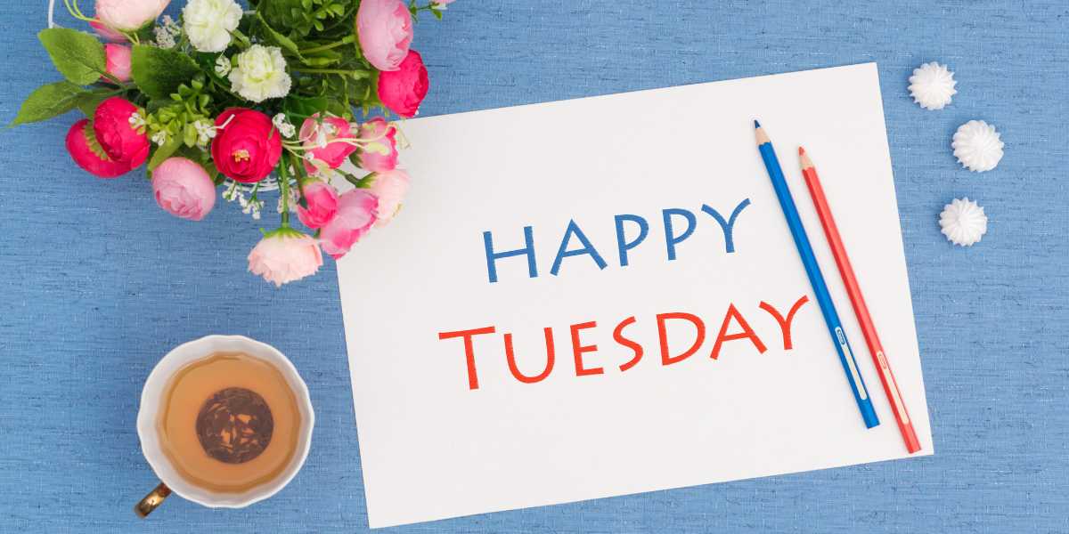 Tuesday Telegram Group Links