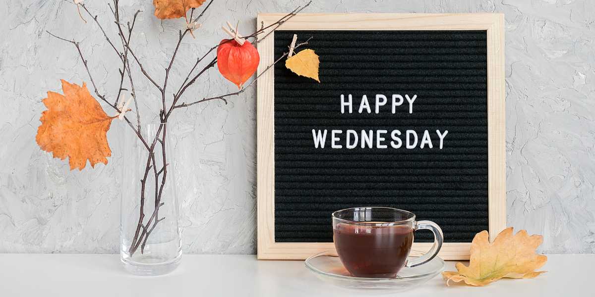 Wednesday Telegram Group Links