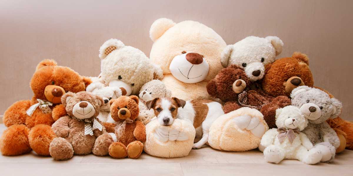 Teddy Day Telegram Group Links