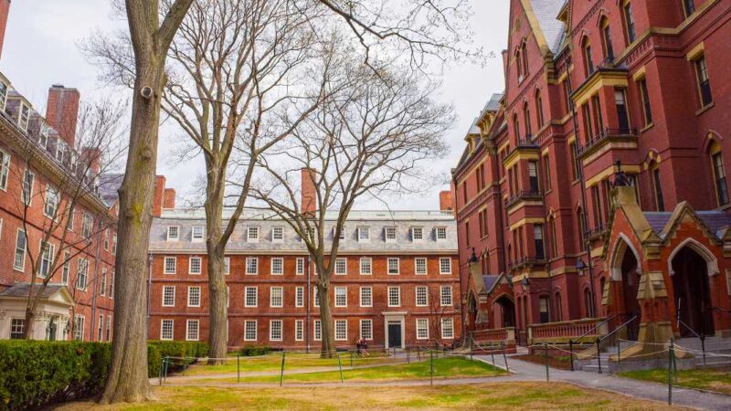 Harvard University Telegram Group Links