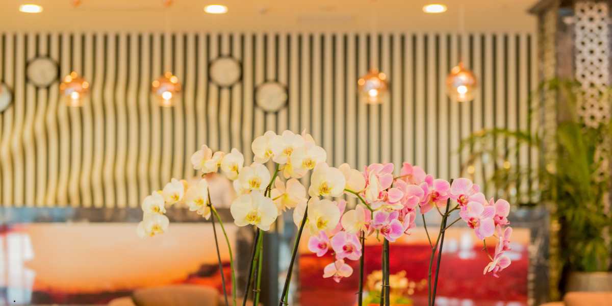 Royal Orchid Hotels Telegram Group Links