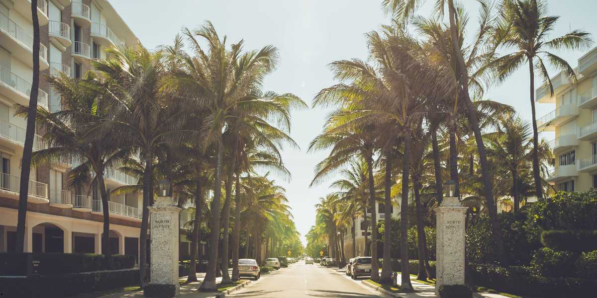 Palm Beach Telegram Group Links