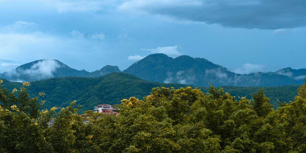 Auli Telegram Group Links