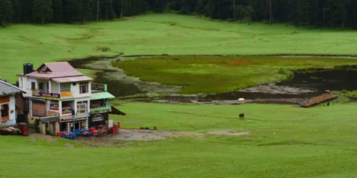 Dalhousie Telegram Group Links