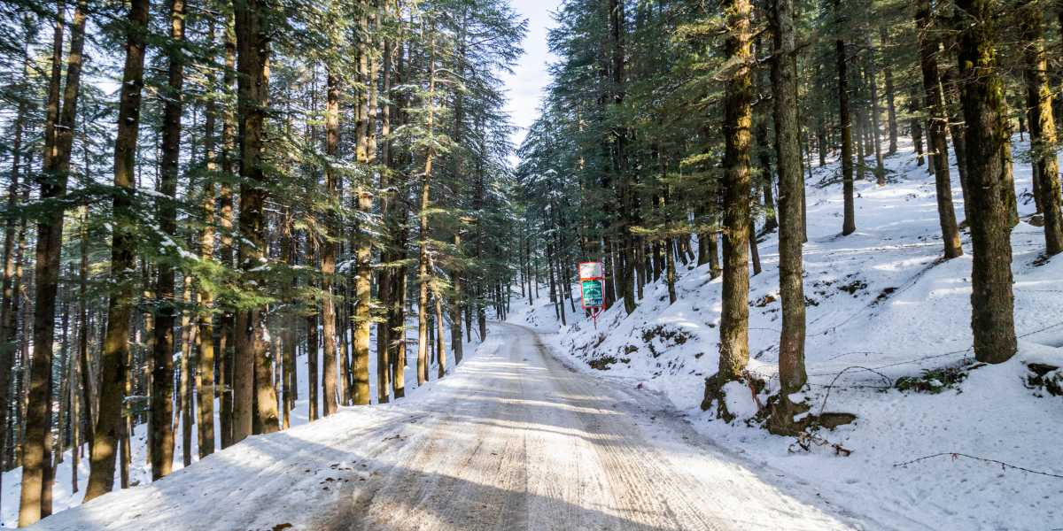 Khajjiar Telegram Group Links