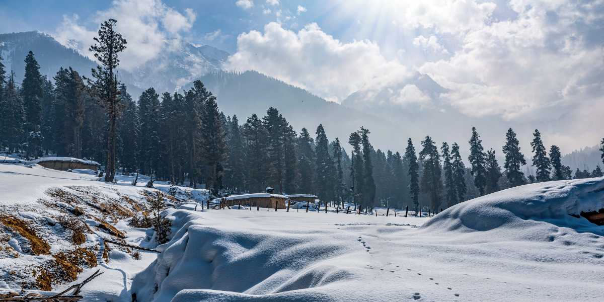 Pahalgam Telegram Group Links