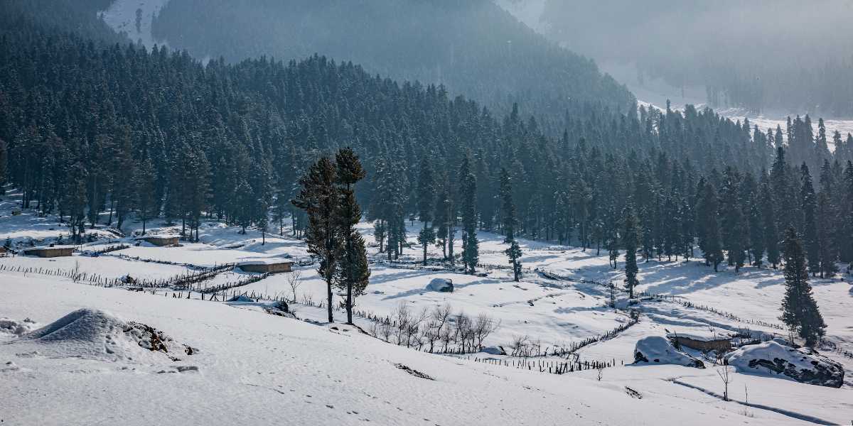 Pulwama Telegram Group Links